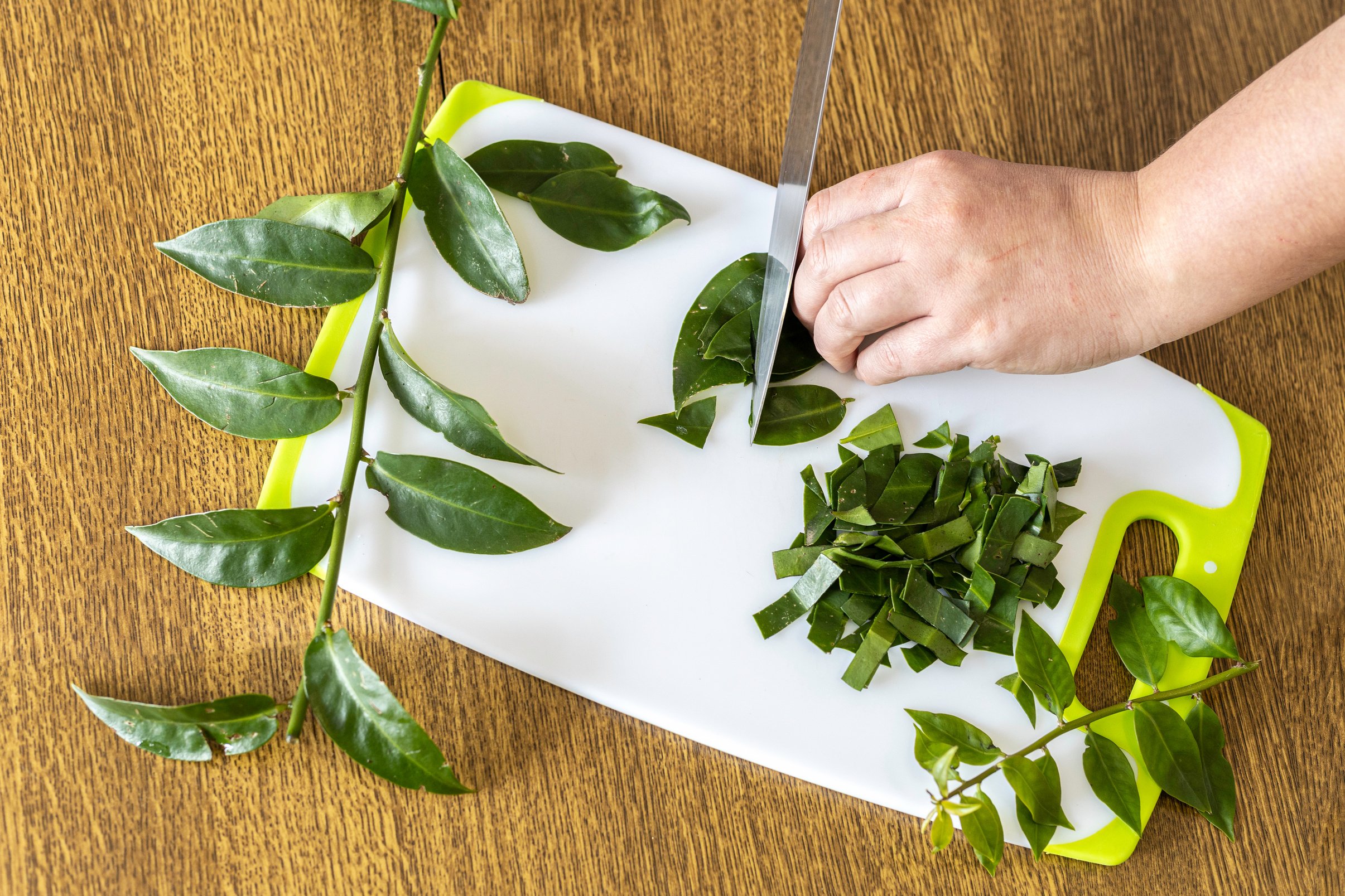 Female hands chopping ora-pro-nobis on cutting board. Pereskia aculeata is a popular plant in Brazil